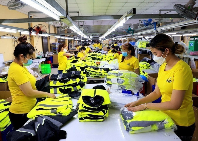 Como gran fuerza laboral, las mujeres vietnamitas han demostrado claramente sus roles, habilidades y creatividad en todos los ámbitos sociales.