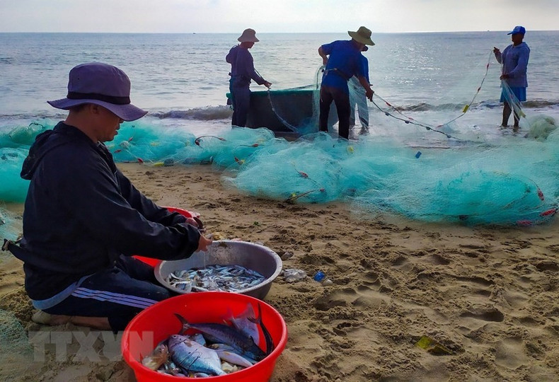 Después de recoger los peces, los pescadores doblan la malla para la próxima faena.