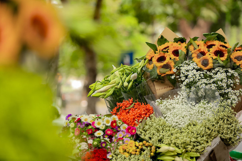 Recorrer por estos días calles de Hanói como Thuy Khue, Phan Dinh Phung, Lang Ha, Thanh Nien, Giang Vo, permite ver a bicicletas llenas de lirios de los floristas.