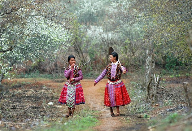 Moc Chau, destino natural de primera categoría de Asia 2023.