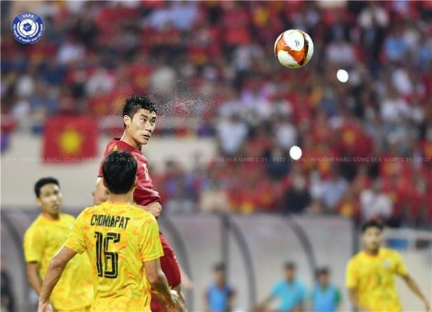 La obra del autor Dinh Trong Hai ganó la medalla de plata (Foto: VNA)