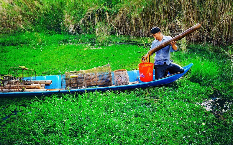 Al llegar a U Minh Ha, los visitantes pueden experimentar la profesión de pesca de anguila.