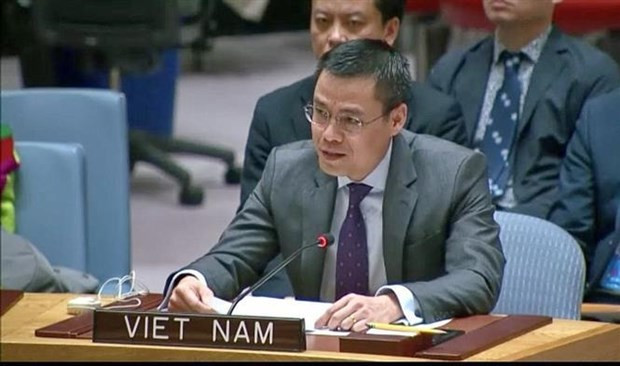 El embajador y jefe de la delegación de Vietnam ante las Naciones Unidas (ONU), Dang Hoang Giang.