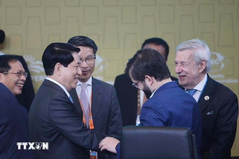 El presidente Luong Cuong y otros delegados en la cita. El presidente Luong Cuong y otros delegados en la cita.