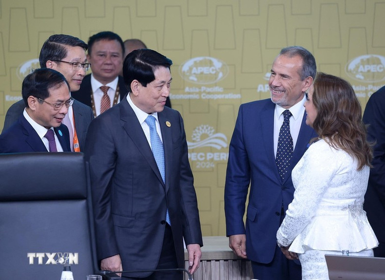 El presidente Luong Cuong y su par peruana Dina Ercilia Boluarte Zegarra en el evento. El presidente Luong Cuong y su par peruana Dina Ercilia Boluarte Zegarra en el evento.