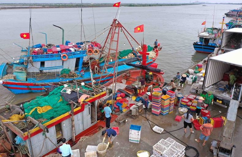 La certificación de salida y trazabilidad de los productos acuáticos provenientes de la explotación se realiza de acuerdo con lo establecido en la Ley de la Pesca. La certificación de salida y trazabilidad de los productos acuáticos provenientes de la explotación se realiza de acuerdo con lo establecido en la Ley de la Pesca.