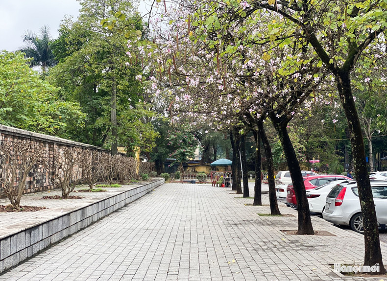 En la calle Bac Son ya están brotando las flores. En la calle Bac Son ya están brotando las flores.