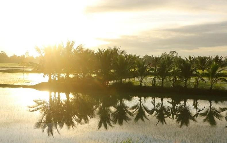 Los campos se inundan bajo la luz dorada del atardecer.