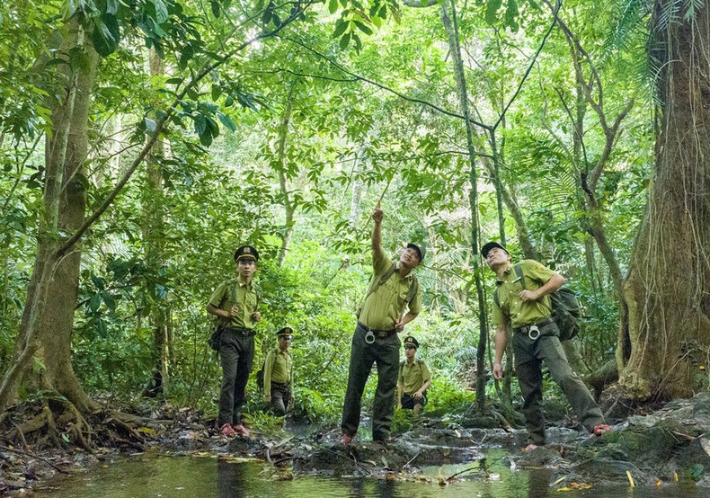 Se realiza la patrulla en el parque nacional Cuc Phuong. Se realiza la patrulla en el parque nacional Cuc Phuong.