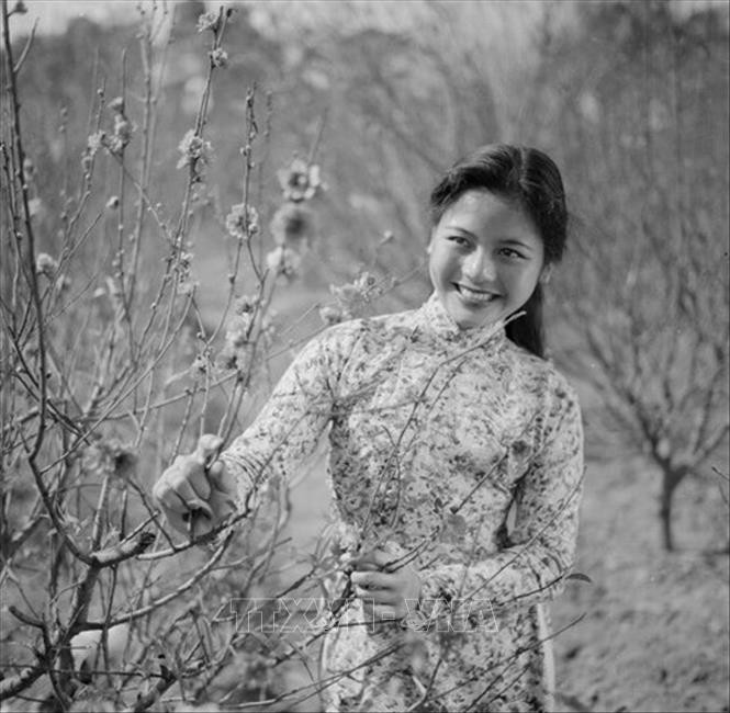 Una muchacha de Hanói con una rama de durazno en la primavera de 1963. (Fotografía: VNA)