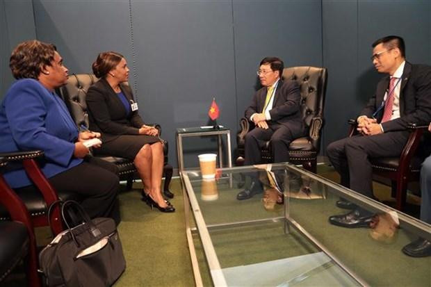 El viceprimer ministro vietnamita Pham Binh Minh se reúne con la ministra de Relaciones Exteriores de Bissau-Guinea, Suzi Carla Barbosa. (Foto: VNA)