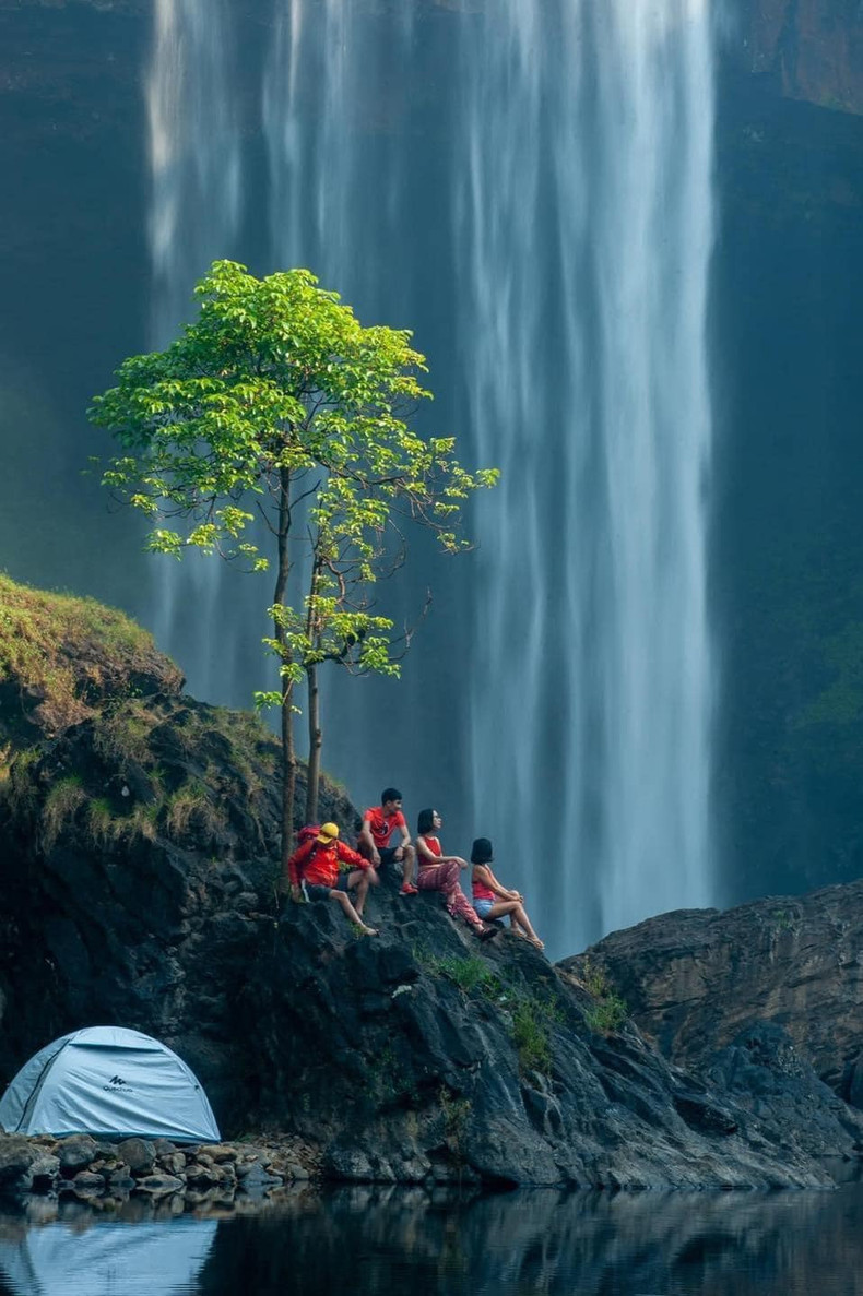 Quienes desean desafiarse a sí mismos, pueden practicar el trekking y realizar caminatas por los senderos del bosque.