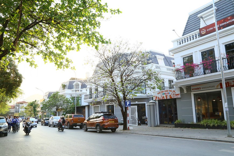 Flores de Ban embellecen la zona del centro comercial Vincom, en la ciudad de Son La. Flores de Ban embellecen la zona del centro comercial Vincom, en la ciudad de Son La.