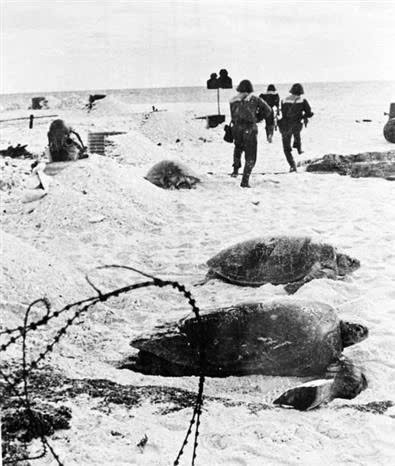 El 126º Regimiento de Fuerzas Especiales Navales libera la isla Son Ca en el archipiélago de Truong Sa, el 25 de abril de 1975.