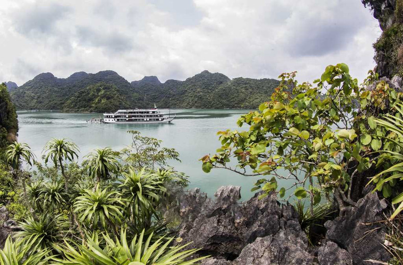 Los itinerarios nocturnos de los cruceros dejan tiempo para que los turistas exploren la belleza única de esta región del Golfo.
