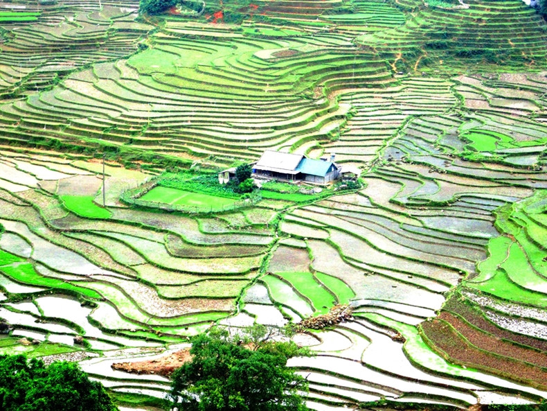 En verano, cuando llueve, la superficie de los campos se cubre de agua iridiscente bajo el brillante sol dorado.