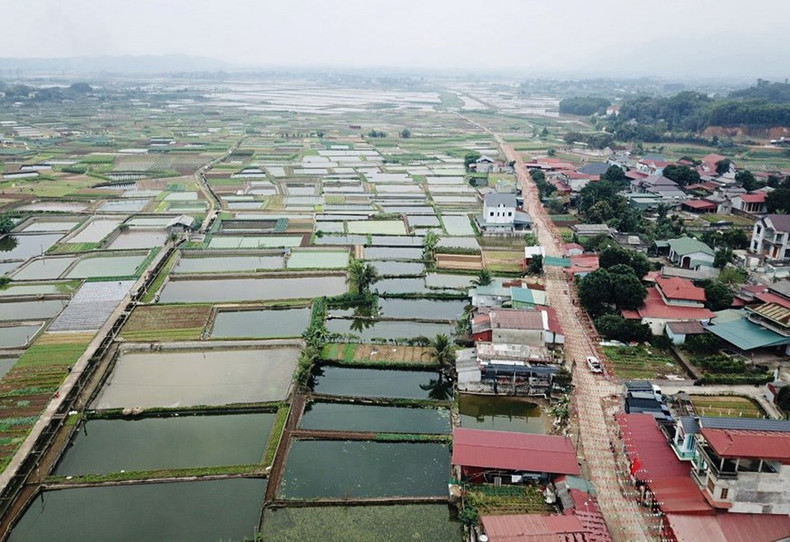Hasta la fecha, la superficie total de cultivo de carpa roja de esta aldea es de unas 50 hectáreas, con una cosecha estimada de 150 toneladas al año. Hasta la fecha, la superficie total de cultivo de carpa roja de esta aldea es de unas 50 hectáreas, con una cosecha estimada de 150 toneladas al año.