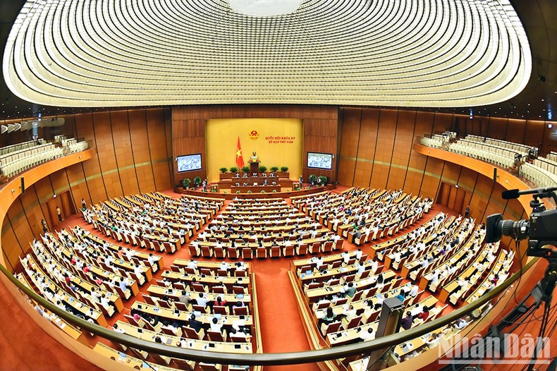 Vista de la sesión.