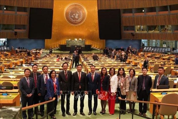 Vietnam elegido miembro del Consejo de Derechos Humanos (CDH) de la ONU. (Foto:VNA)