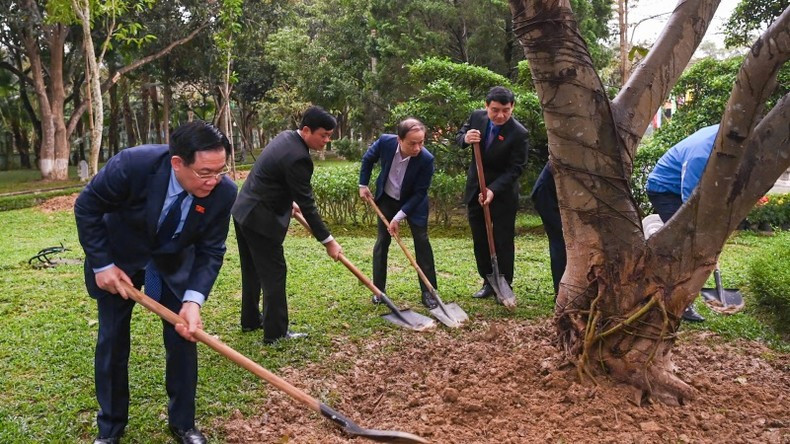 Dinh Hue planta árboles en la zona especial de reliquias nacionales de Kim Lien. Dinh Hue planta árboles en la zona especial de reliquias nacionales de Kim Lien.