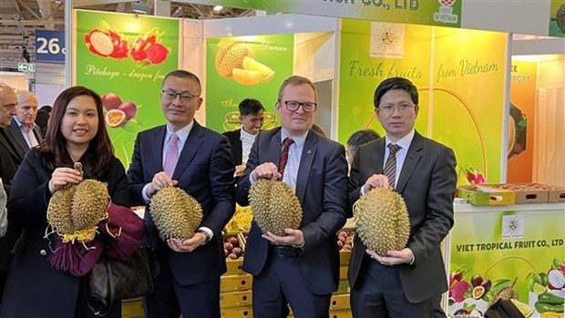 Durián, fruta favorita en Fruit Logistica 2023 (Fotografía: VNA) Durián, fruta favorita en Fruit Logistica 2023 (Fotografía: VNA)