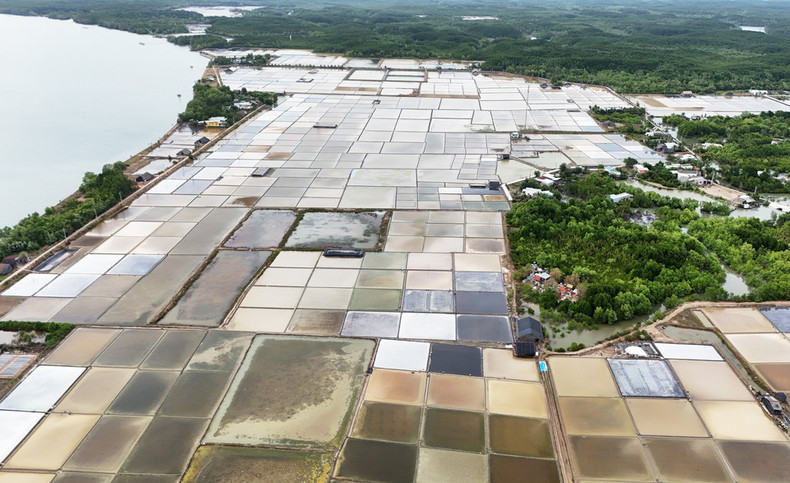 Los campos de sal en la aldea insular de Thieng Lieng son un espacio único para que los turistas experimenten y exploren. Los campos de sal en la aldea insular de Thieng Lieng son un espacio único para que los turistas experimenten y exploren.