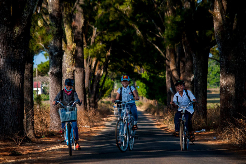Los visitantes comparan este camino con los del amor en las películas románticas surcoreanas. En cuanto a los pobladores de Gia Lai, lo consideran el camino de la infancia, el tiempo y la memoria.