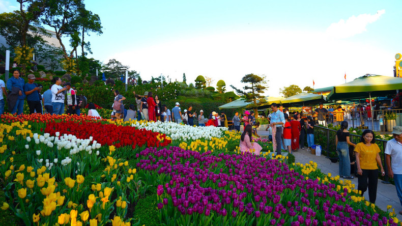 El jardín de tulipanes de vivos colores en la montaña Ba Den atrae a numerosos turistas que vienen a pasear, tomar fotos y disfrutar del aire fresco. El jardín de tulipanes de vivos colores en la montaña Ba Den atrae a numerosos turistas que vienen a pasear, tomar fotos y disfrutar del aire fresco.