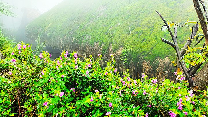 La humedad ambiental permanente favorece el crecimiento de la vegetación. La humedad ambiental permanente favorece el crecimiento de la vegetación.