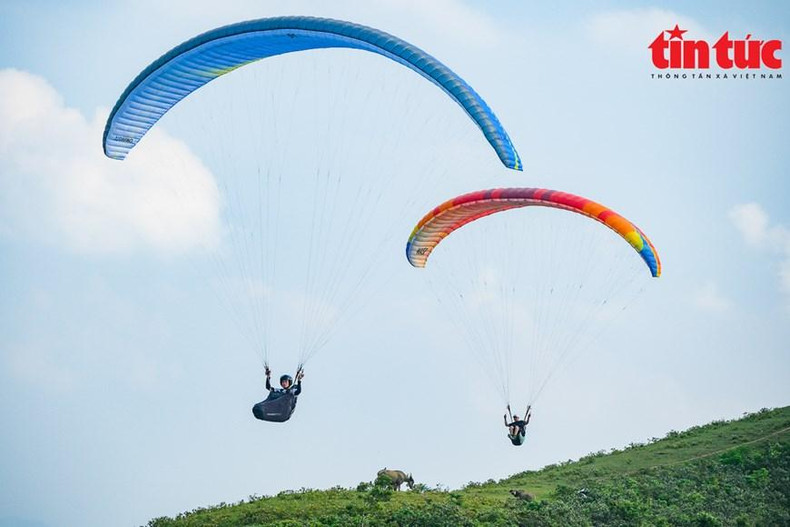 La mayoría de los pilotos son personas con muchos años de experiencia y han sido certificados para volar. (Foto: VNA)
