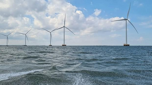 Muchos proyectos de energía eólica en Ben Tre. (Foto: VNA)