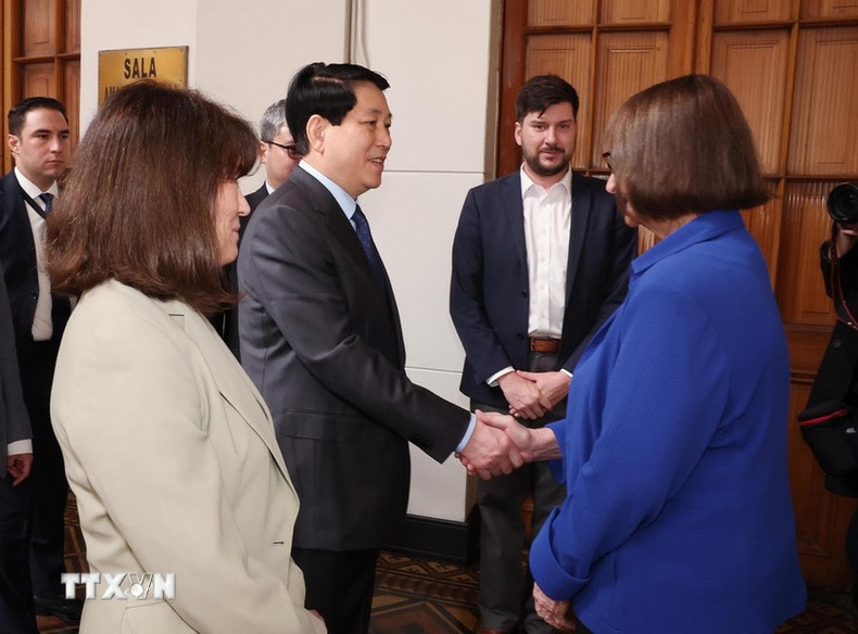 La rectora de la Universidad de Chile, Rosa Devés, recibe al dirigente vietnamita. La rectora de la Universidad de Chile, Rosa Devés, recibe al dirigente vietnamita.
