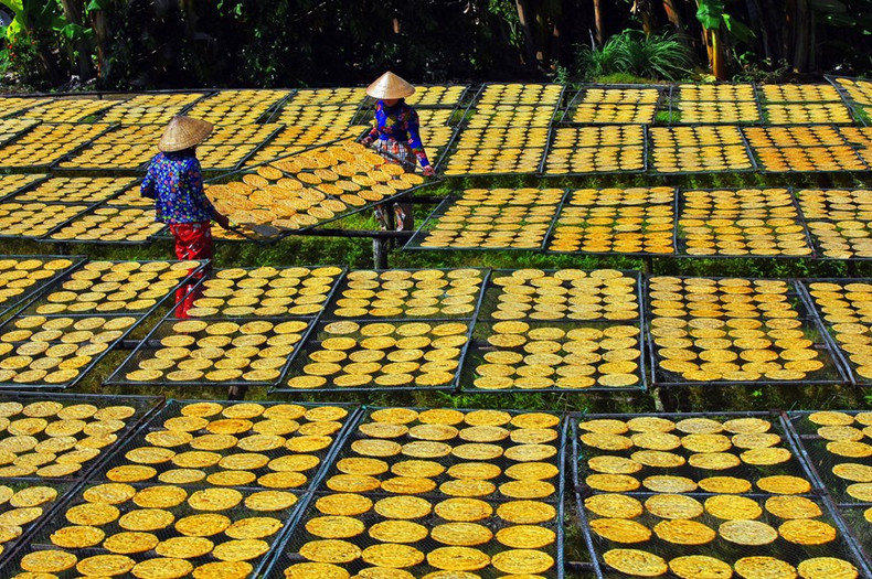 Un pueblo dedicado a la elaboración de plátanos secos en la comuna de Tran Hoi, distrito de Tran Van Thoi.