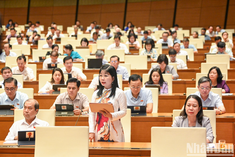 Tran Thi Thanh Huong, de la probincia de An Giang, interviene.