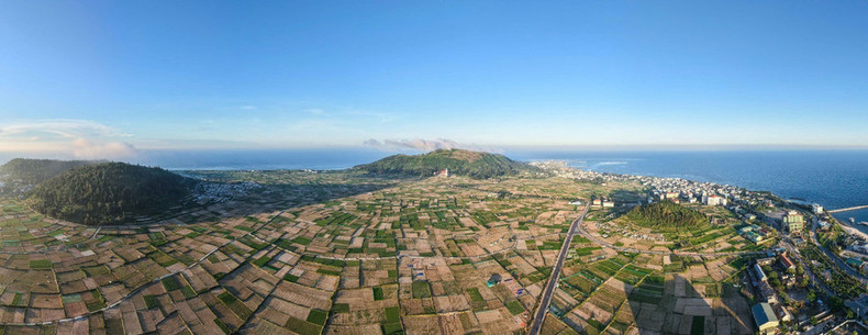 Luego de la cosecha, una parte de los ajos se pone a secar a la espera de un mejor precio que permita mayor rentabilidad. Luego de la cosecha, una parte de los ajos se pone a secar a la espera de un mejor precio que permita mayor rentabilidad.