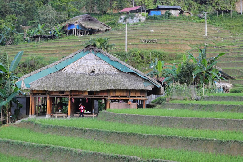 Un homestay que se encuentra en armonía con los verdes campos en la aldea de Xa Phin.