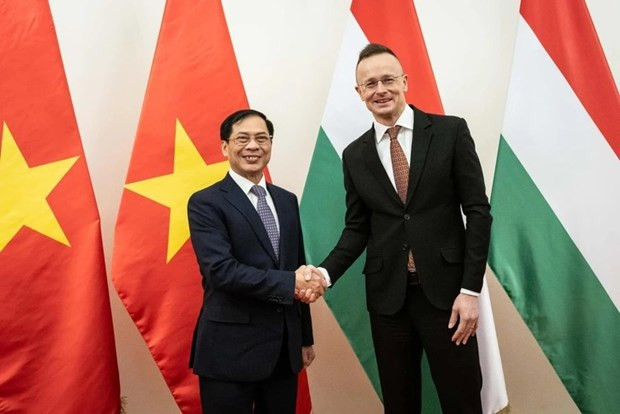El ministro de Relaciones Exterior de Vietnam, Bui Thanh Son, y el ministro de Asuntos Exteriores y Comercio Exterior de Hungría, Peter Szijjarto.
