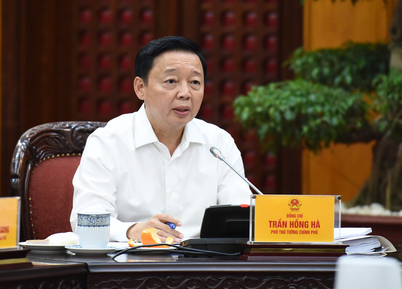 El viceprimer ministro Tran Hong Ha habla en la reunión.