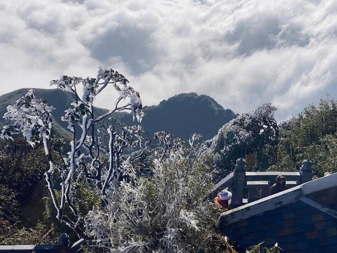 Hielo cubre la cima del Fansipan ảnh 2 Hielo cubre la cima del Fansipan ảnh 2