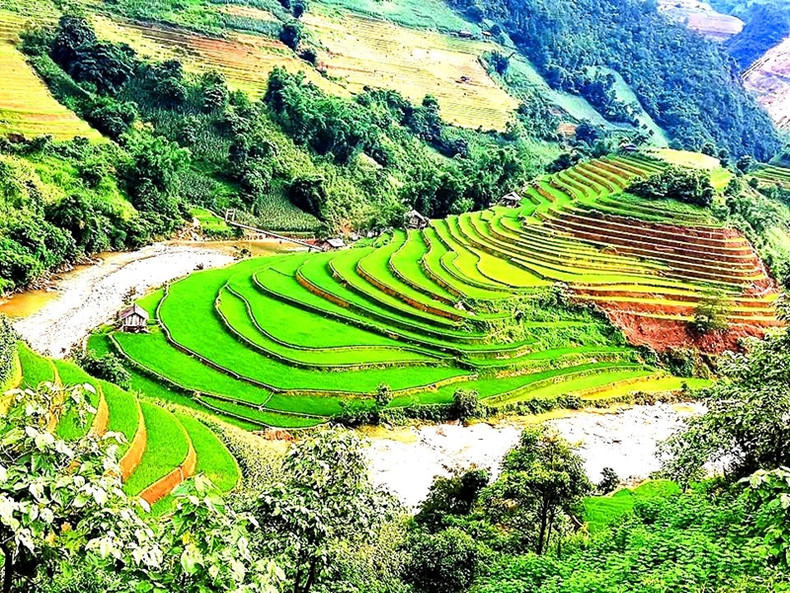 Junto a los frescos arroyos, el arroz crece día a día en terrazas.