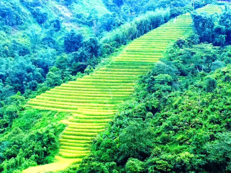 Los campos en la ladera de la montaña son como escaleras al cielo.