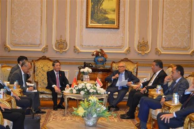 En la reunión entre el vicepresidente de la ANV Nguyen Duc Hai y el vicepresidente del Senado egipcio, Bahaa El-Din Abu Shaqqa. (Fotografía: VNA) En la reunión entre el vicepresidente de la ANV Nguyen Duc Hai y el vicepresidente del Senado egipcio, Bahaa El-Din Abu Shaqqa. (Fotografía: VNA)