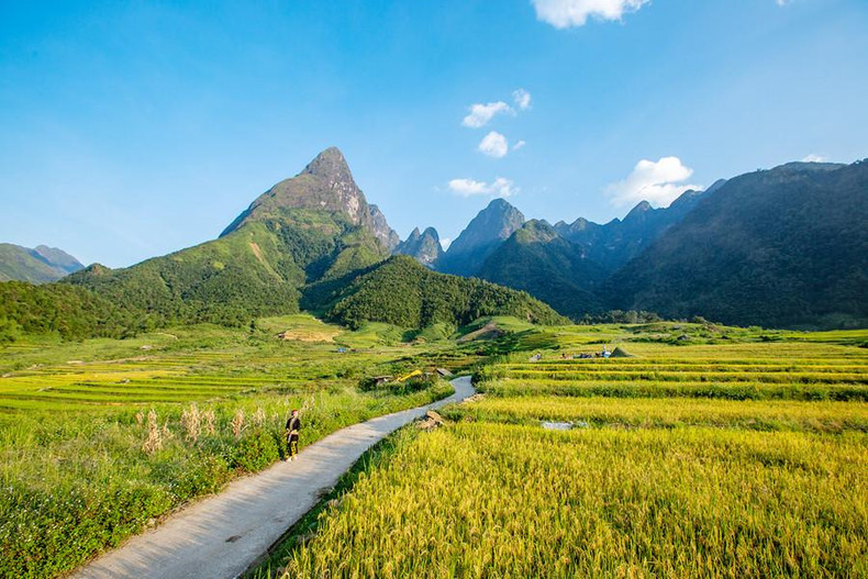 La temporada más hermosa en Chu Va es a principios de septiembre, cuando el color dorado tiñe los campos en terrazas al pie de las montañas, en la época de cosecha. La temporada más hermosa en Chu Va es a principios de septiembre, cuando el color dorado tiñe los campos en terrazas al pie de las montañas, en la época de cosecha.