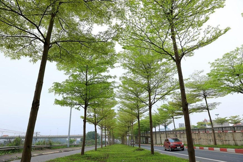 Una pieza de la colección fotográfica “Nueva vitalidad” (Foto: VNA)