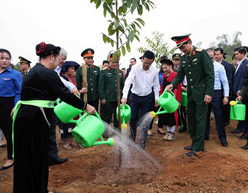 Presidente de Vietnam lanza Festival de plantación de árboles 2024 ảnh 1 Presidente de Vietnam lanza Festival de plantación de árboles 2024 ảnh 1