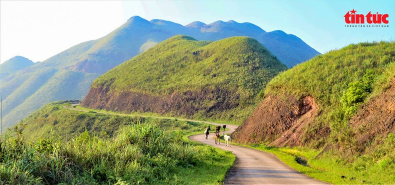 Las curvas del camino en Binh Lieu en otoño. Las curvas del camino en Binh Lieu en otoño.