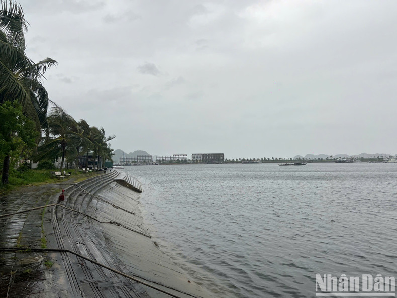 La provincia de Quang Ninh crea siete grupos de trabajo para inspeccionar los preparativos ante el tifón Yagi. La provincia de Quang Ninh crea siete grupos de trabajo para inspeccionar los preparativos ante el tifón Yagi.