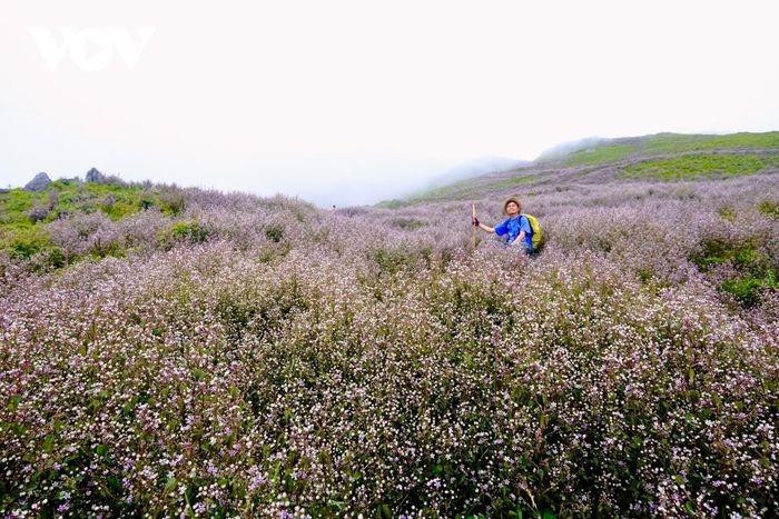 El paisaje poético de Ta Chi Nhu enamora a los visitantes.