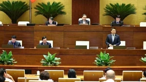 Comienzan las interpelaciones en la Asamblea Nacional. (Fotografía: VNA)