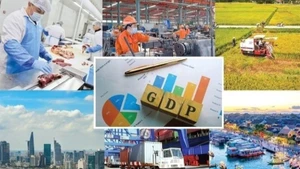 El Gobierno de Vietnam planea tareas clave para cumplir los objetivos de desarrollo socioeconómico de 2025. (Foto: VGP)